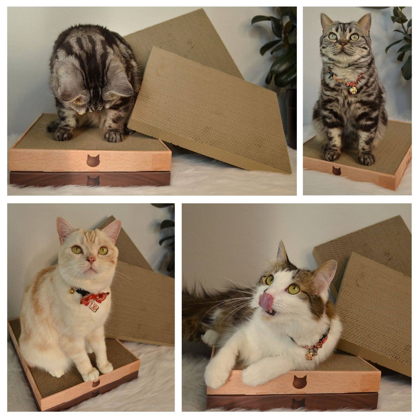 MOON-X USA, INC. - Premium High-density Cat Scratcher Wide (Oak)