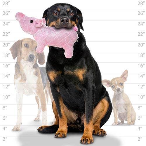 Tuffy Dog Toys - VIP Products - Mighty Farm Piglet, Plush, Squeaky Dog Toy - Doot's Pet LLC Collars For A Cause