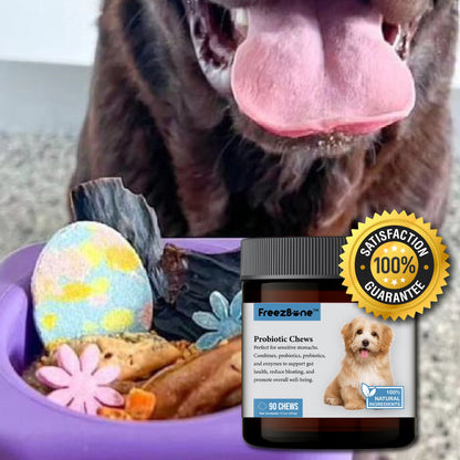 Probiotic Chews (90 Chews) - Doot's Pet LLC Collars For A Cause
