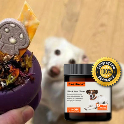 Hip & Joint Chews (90 Chews) - Doot's Pet LLC Collars For A Cause