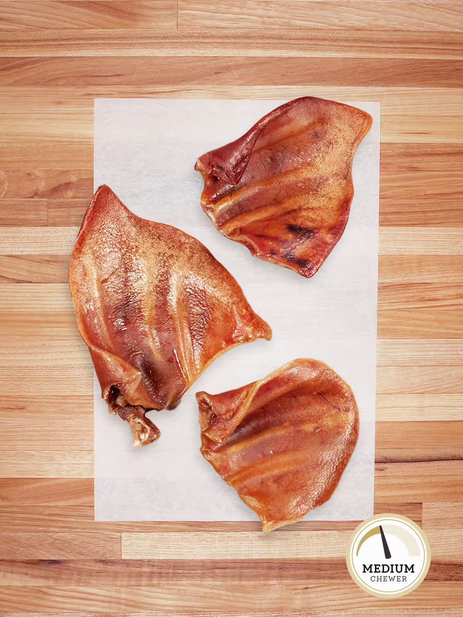 Hog Ears - Doot's Pet LLC Collars For A Cause