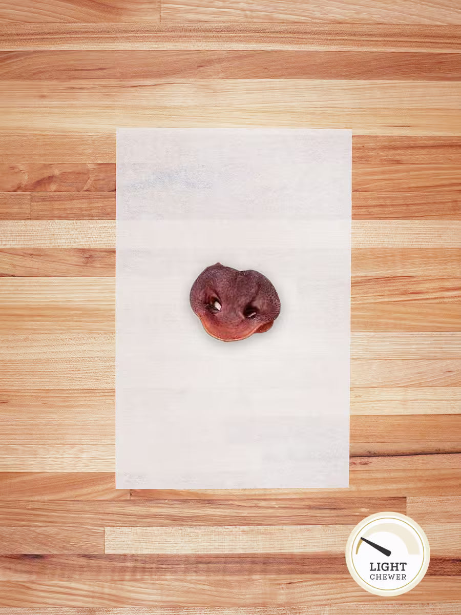 Hog Snout - Doot's Pet LLC Collars For A Cause