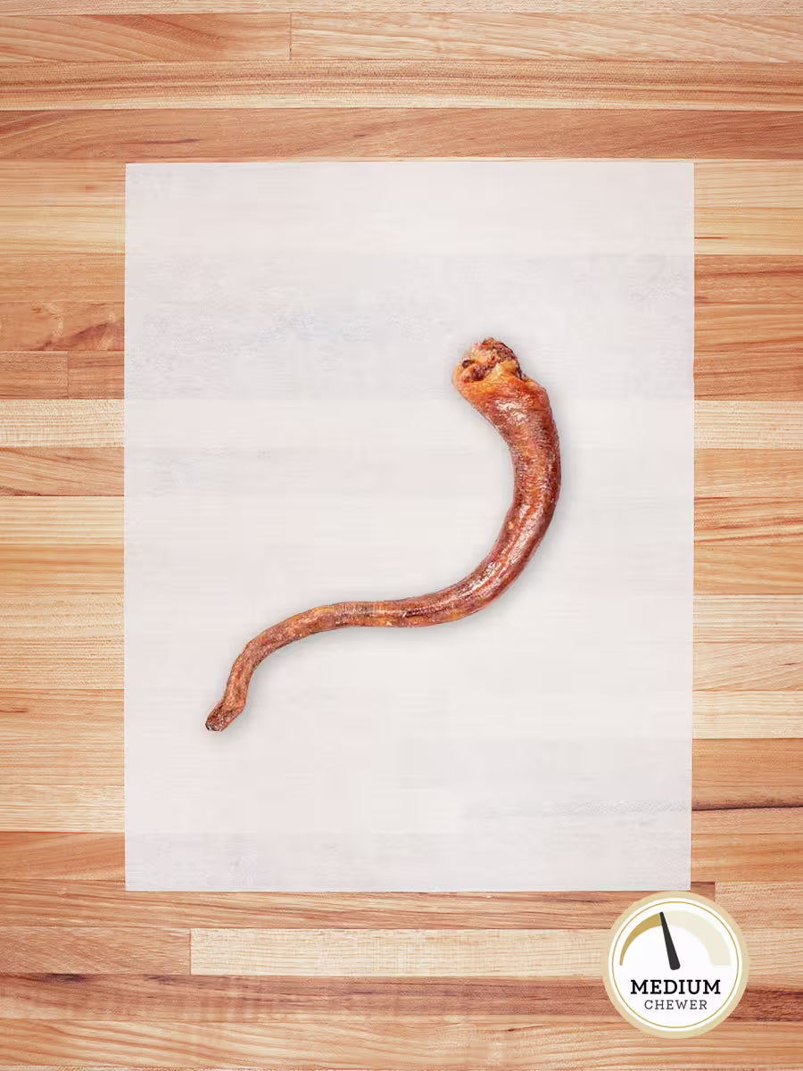 Hog Tail - Doot's Pet LLC Collars For A Cause