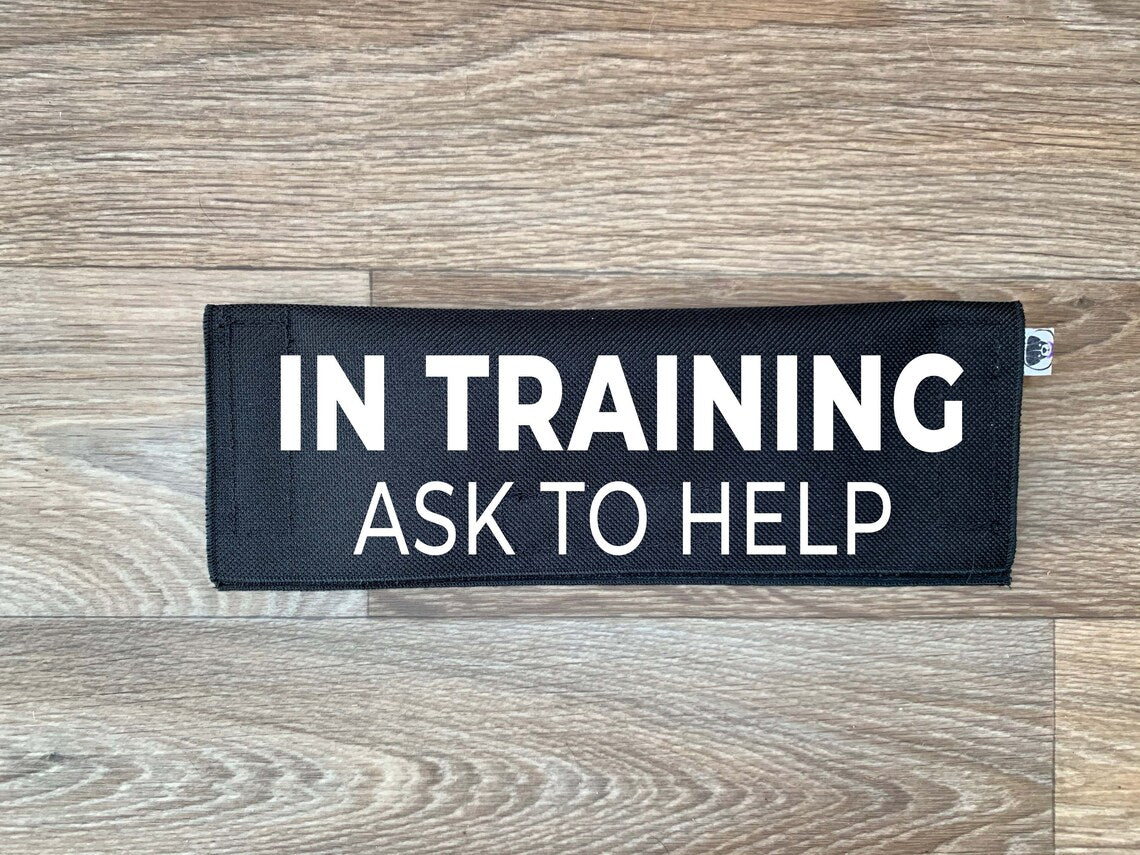 In Training - Ask To Help