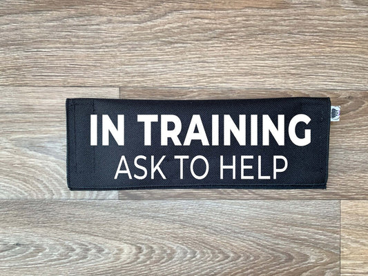 In Training - Ask To Help