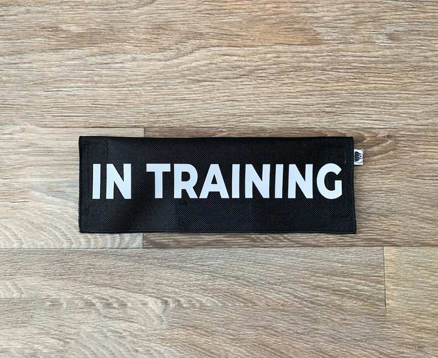 In Training