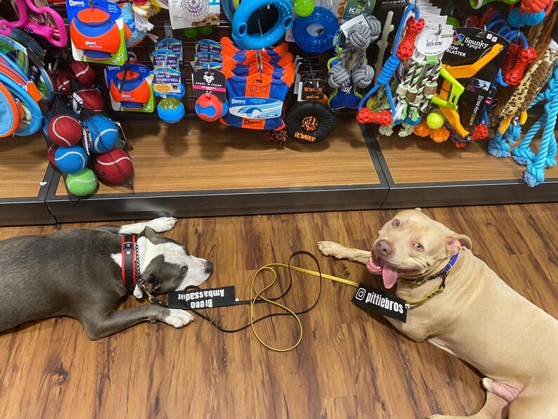 Bully Breed Ambassador