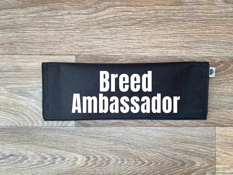 Bully Breed Ambassador