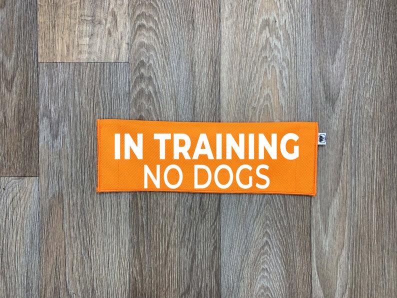 In Training - No Dogs Leash Sleeve