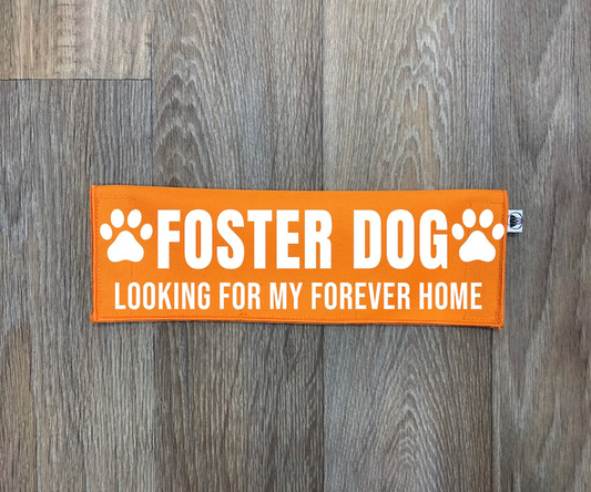 Foster Dog - Looking For My Forever Home Leash Flag