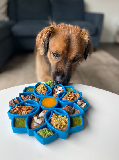 Mandala eTray Shallow Slow Feeder Dog Bowl for Enrichment | USA Made - Doot's Pet LLC Collars For A Cause