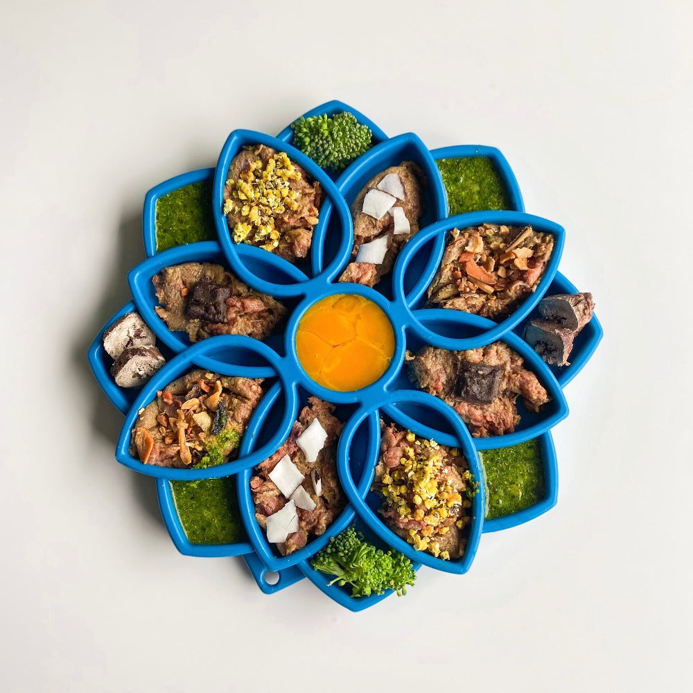 Mandala eTray Shallow Slow Feeder Dog Bowl for Enrichment | USA Made - Doot's Pet LLC Collars For A Cause
