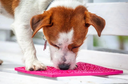 Flower Power emat - Enrichment Lick Mat for Dogs and Cats | Flower Design | USA Made - Doot's Pet LLC Collars For A Cause