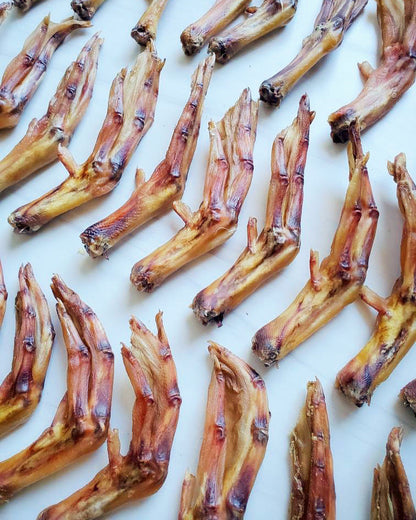 Duck Feet (ABF) - Doot's Pet LLC Collars For A Cause