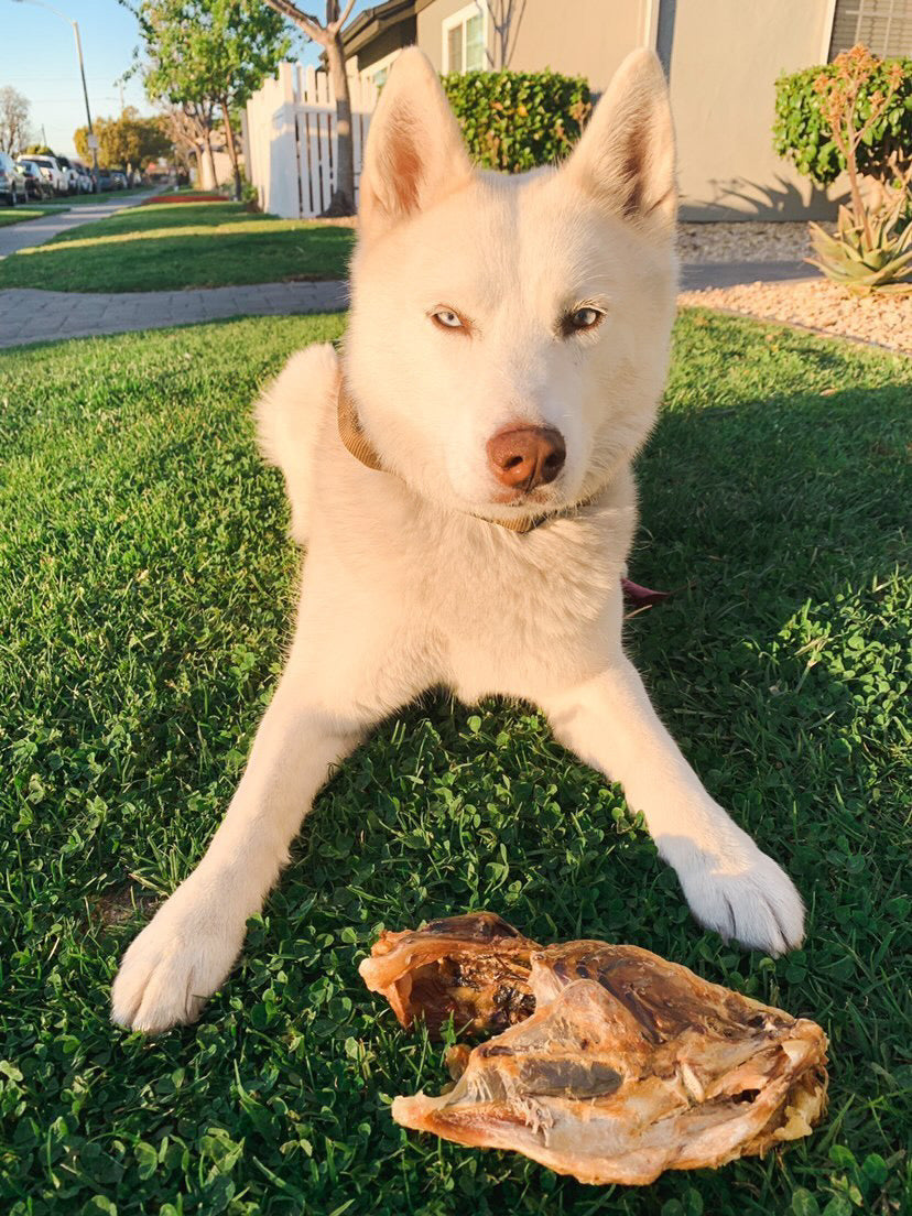 Chicken Frames (Chunked) - Doot's Pet LLC Collars For A Cause