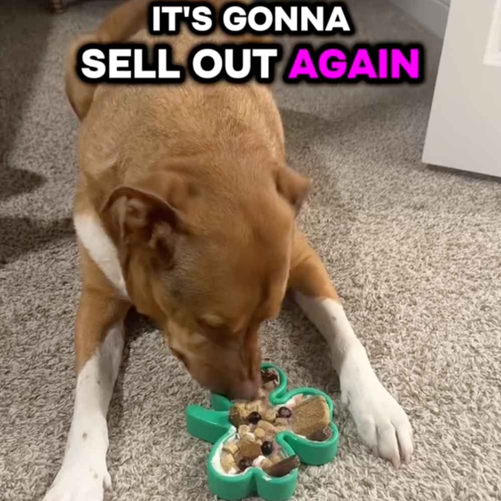 FreezShamrock - Premium Enrichment Toy - Doot's Pet LLC Collars For A Cause