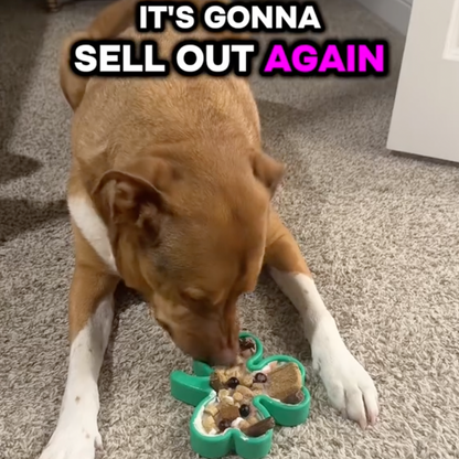 FreezShamrock - Premium Enrichment Toy - Doot's Pet LLC Collars For A Cause