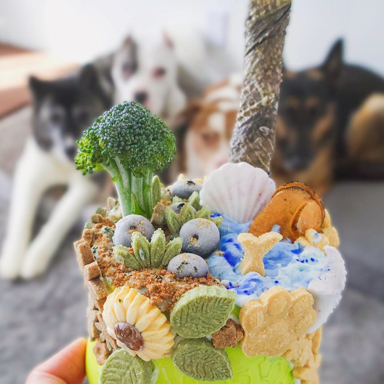 Green Lipped Mussels - Doot's Pet LLC Collars For A Cause