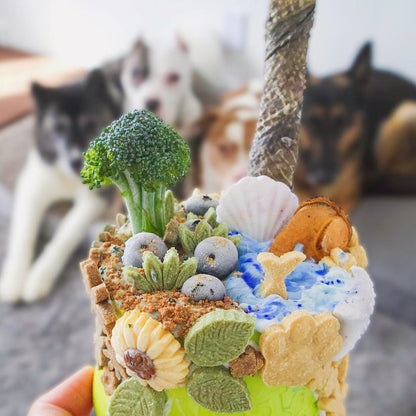 Green Lipped Mussels - Doot's Pet LLC Collars For A Cause