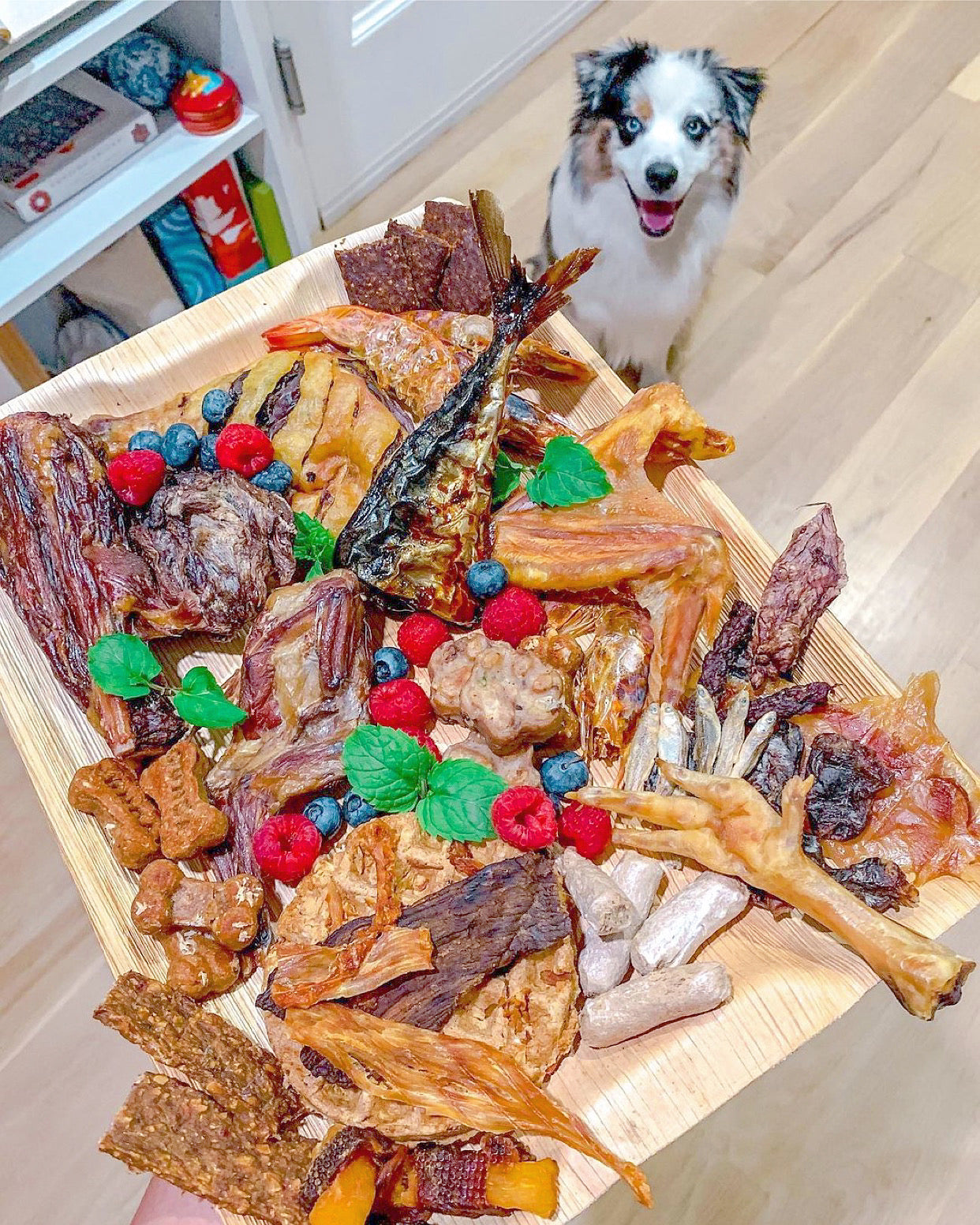 Lamb Shank (GFF & Pasture Raised) - Doot's Pet LLC Collars For A Cause