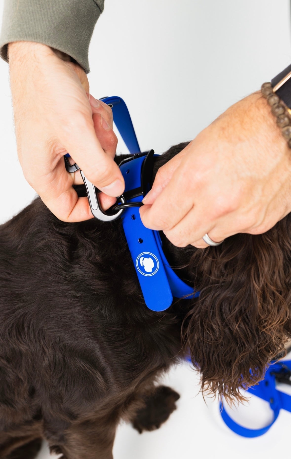 The Modern Dog Company - Royal Blue Collar (Weather + Odor Resistant) - Doot's Pet LLC Collars For A Cause