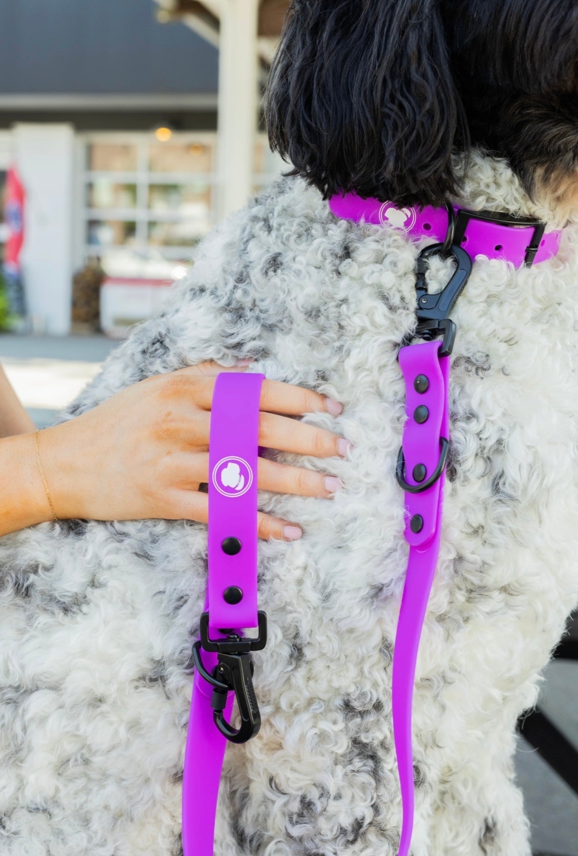 The Modern Dog Company - Electric Fuchsia Collar (Weather + Odor Resistant) - Doot's Pet LLC Collars For A Cause