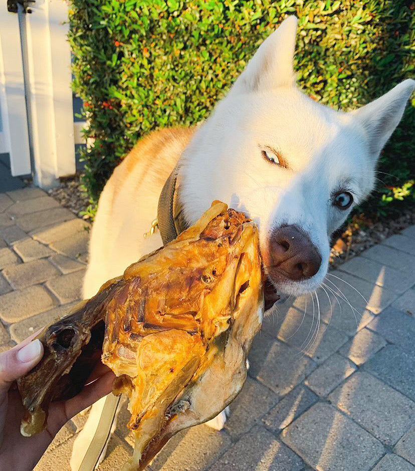 Chicken Frames (Chunked) - Doot's Pet LLC Collars For A Cause