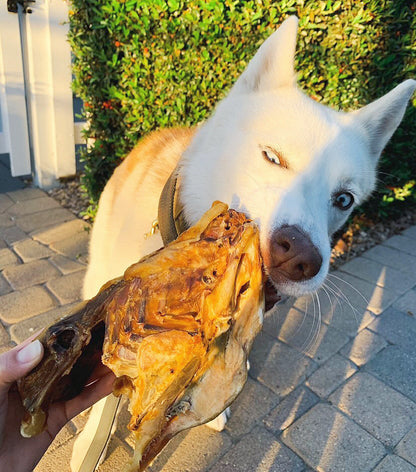 Chicken Frames (Chunked) - Doot's Pet LLC Collars For A Cause