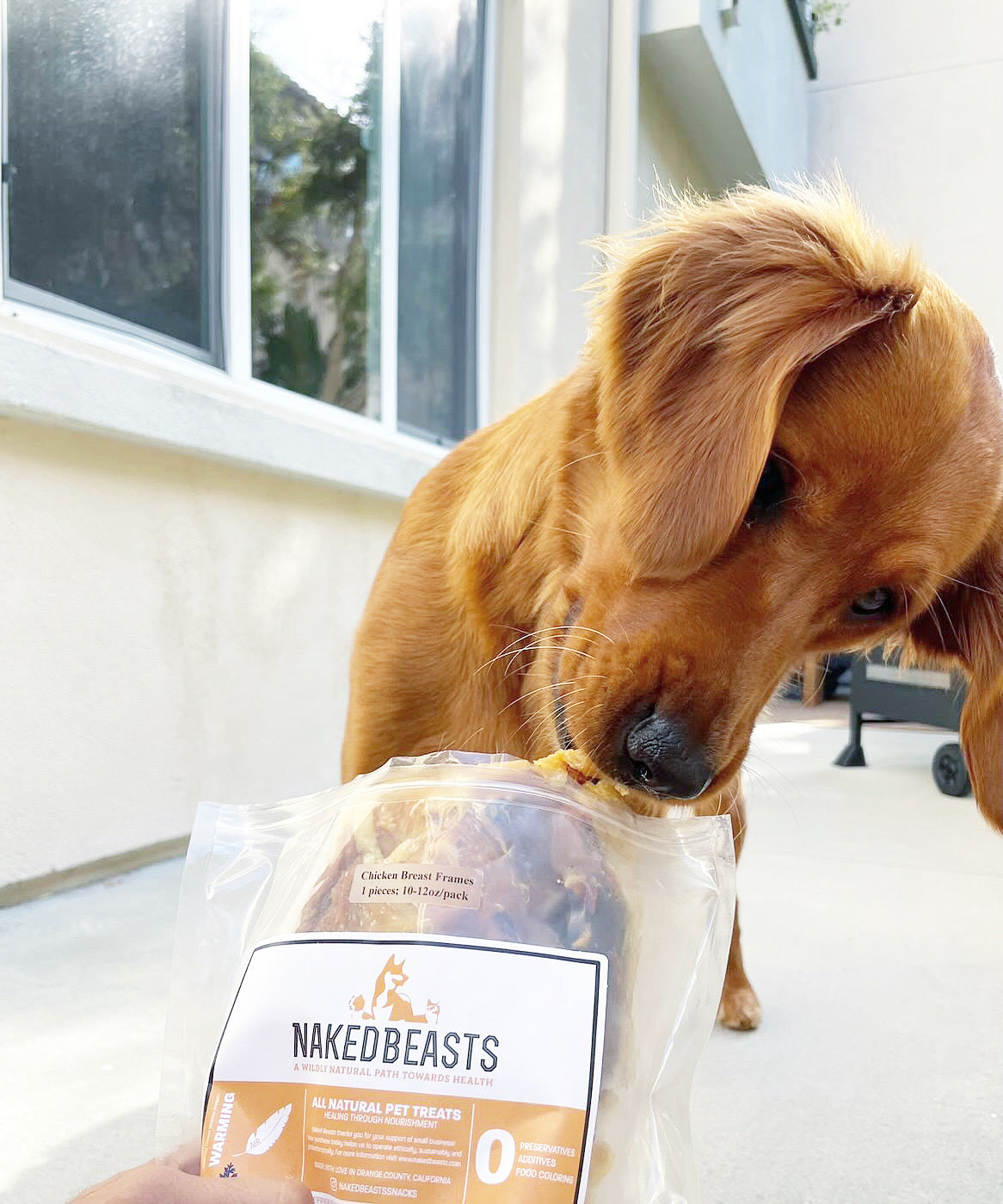 Chicken Frames (Chunked) - Doot's Pet LLC Collars For A Cause