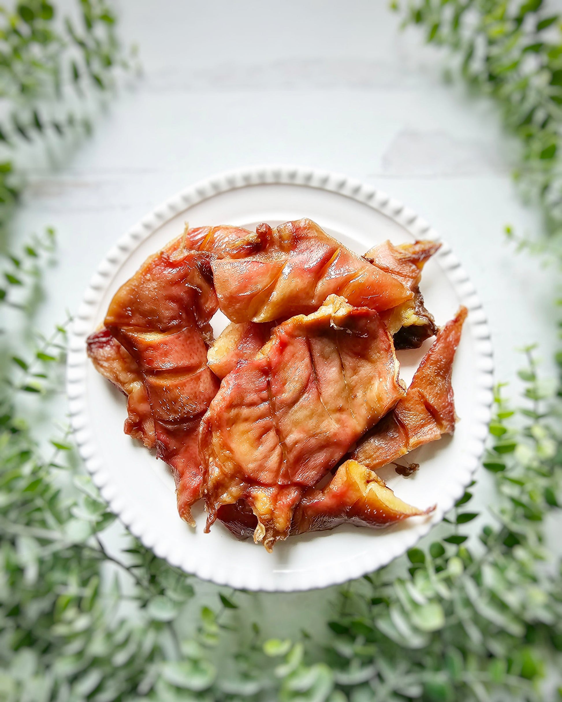 Pig Snout - Doot's Pet LLC Collars For A Cause