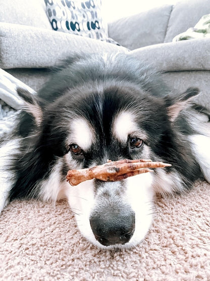Chicken Feet - Doot's Pet LLC Collars For A Cause