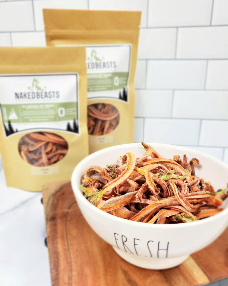 Carrots - Doot's Pet LLC Collars For A Cause