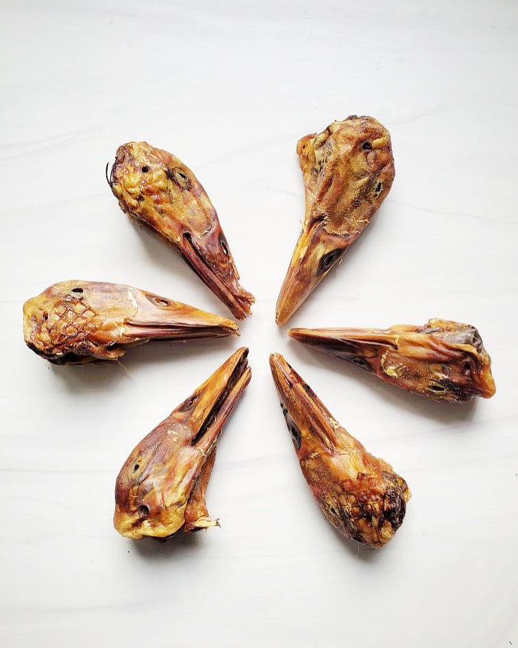 Duck Heads (ABF) - Doot's Pet LLC Collars For A Cause