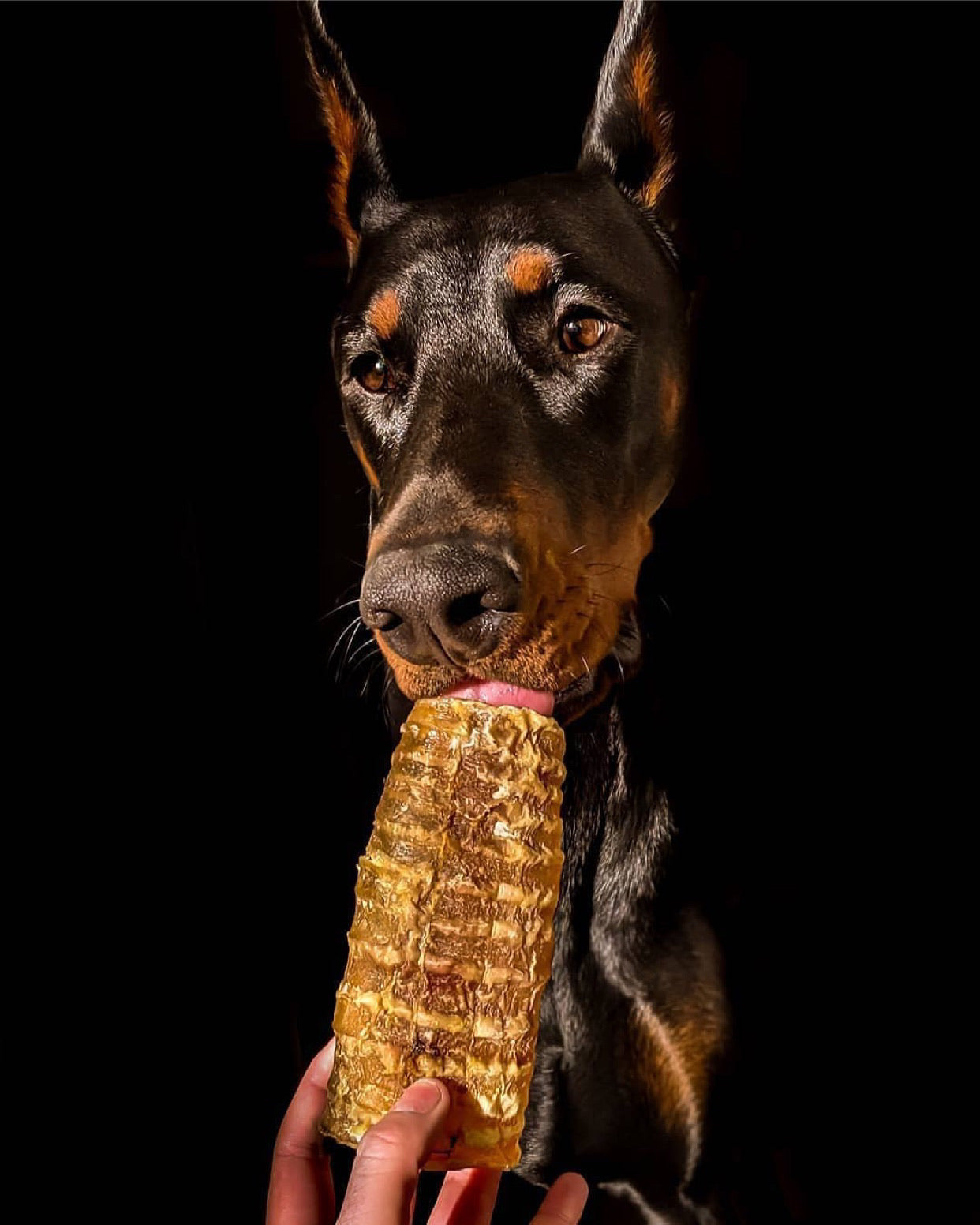 Beef Trachea (Grass Fed & Finished) - Doot's Pet LLC Collars For A Cause