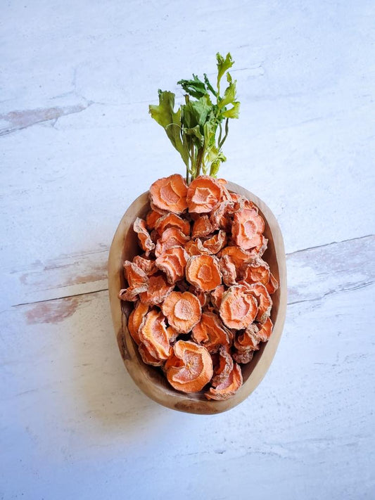 Carrots - Doot's Pet LLC Collars For A Cause