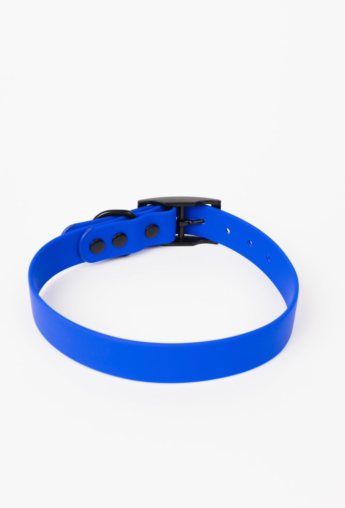 The Modern Dog Company - Royal Blue Collar (Weather + Odor Resistant) - Doot's Pet LLC Collars For A Cause