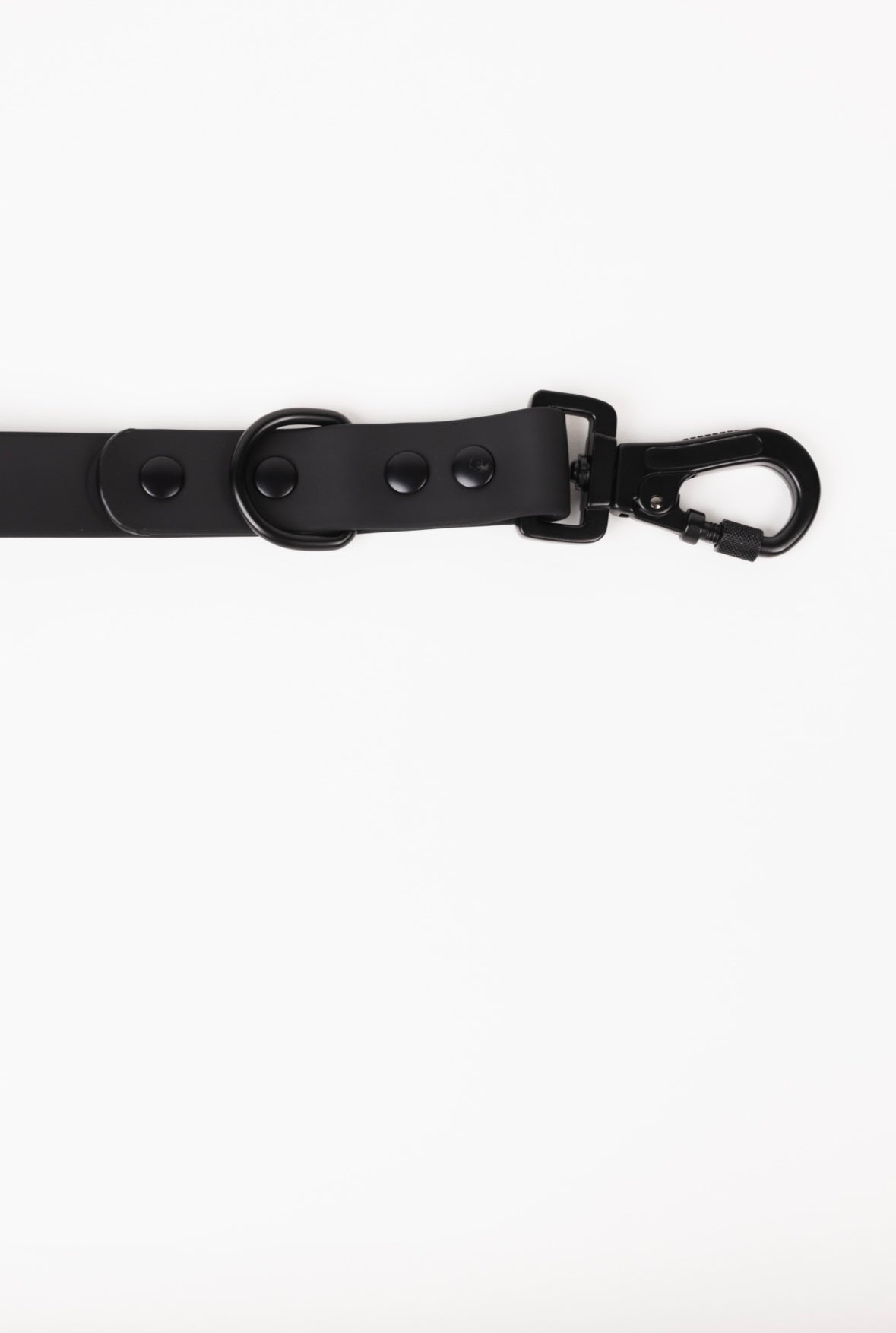 The Modern Dog Company - Better in Black Leash - Doot's Pet LLC Collars For A Cause