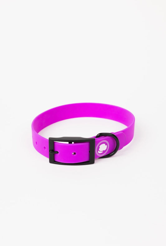 The Modern Dog Company - Electric Fuchsia Collar (Weather + Odor Resistant) - Doot's Pet LLC Collars For A Cause