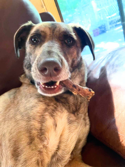 Chicken Necks - Doot's Pet LLC Collars For A Cause