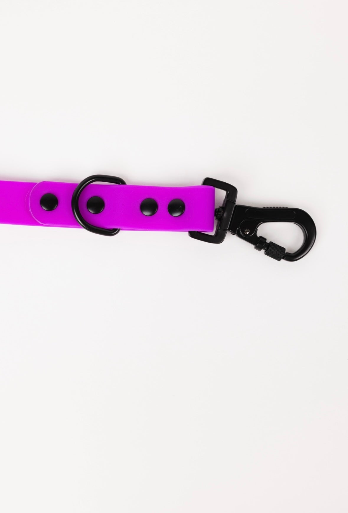 The Modern Dog Company - Electric Fuchsia Leash (Weather + Odor Resistant) - Doot's Pet LLC Collars For A Cause