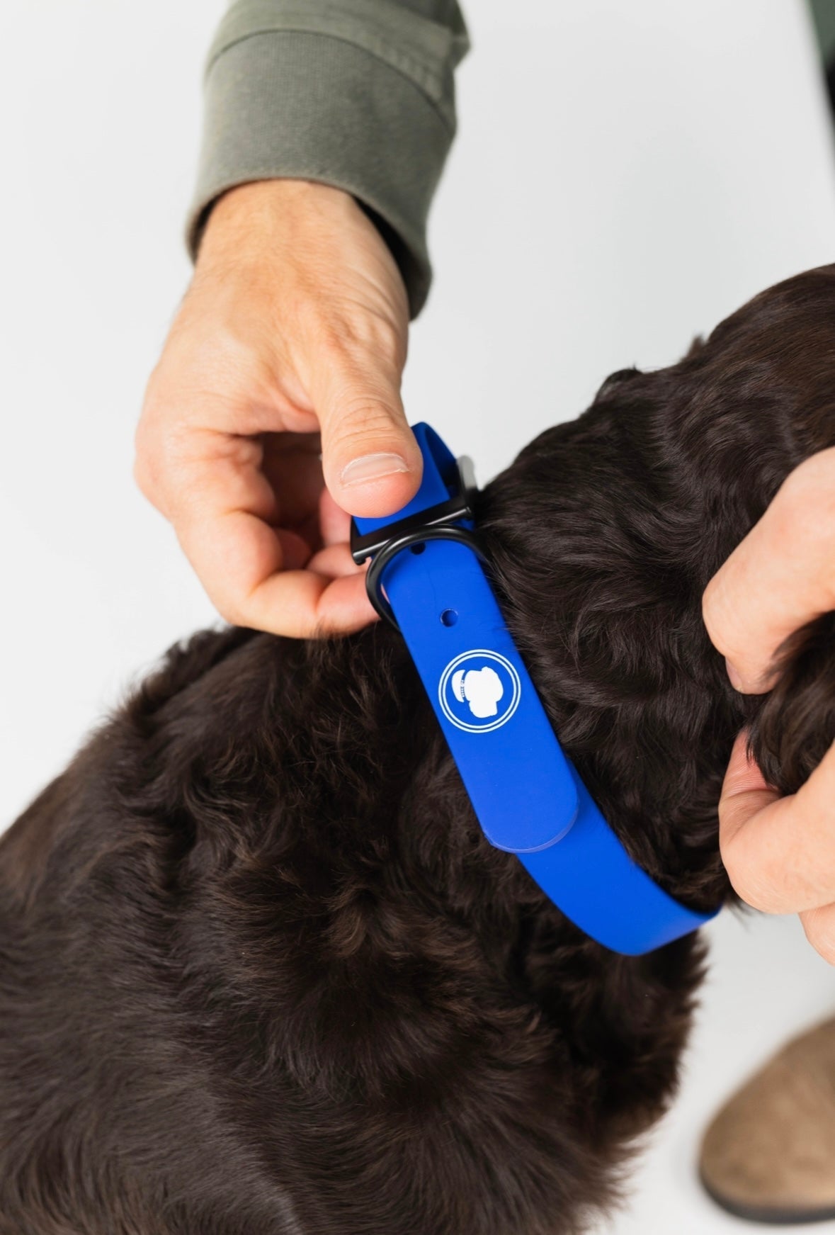 The Modern Dog Company - Royal Blue Collar (Weather + Odor Resistant) - Doot's Pet LLC Collars For A Cause
