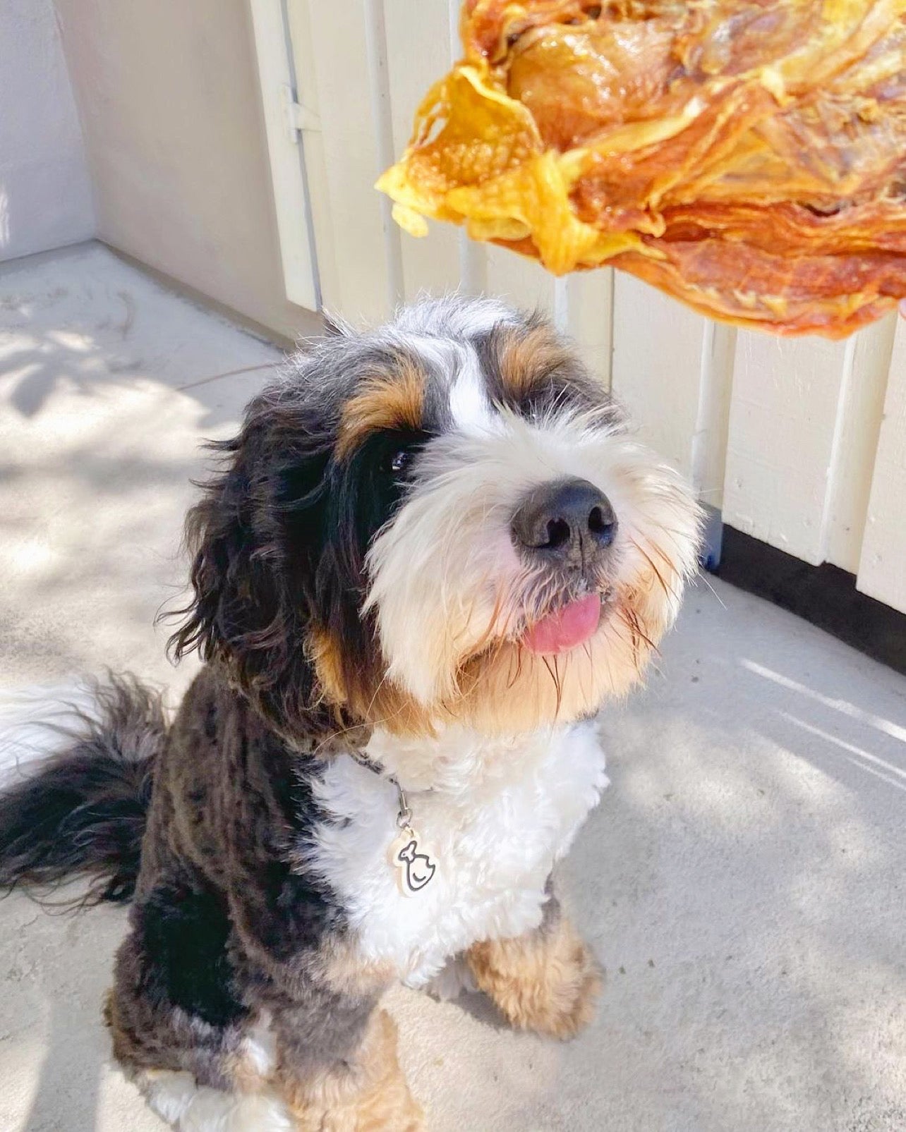 Chicken Frames (Chunked) - Doot's Pet LLC Collars For A Cause