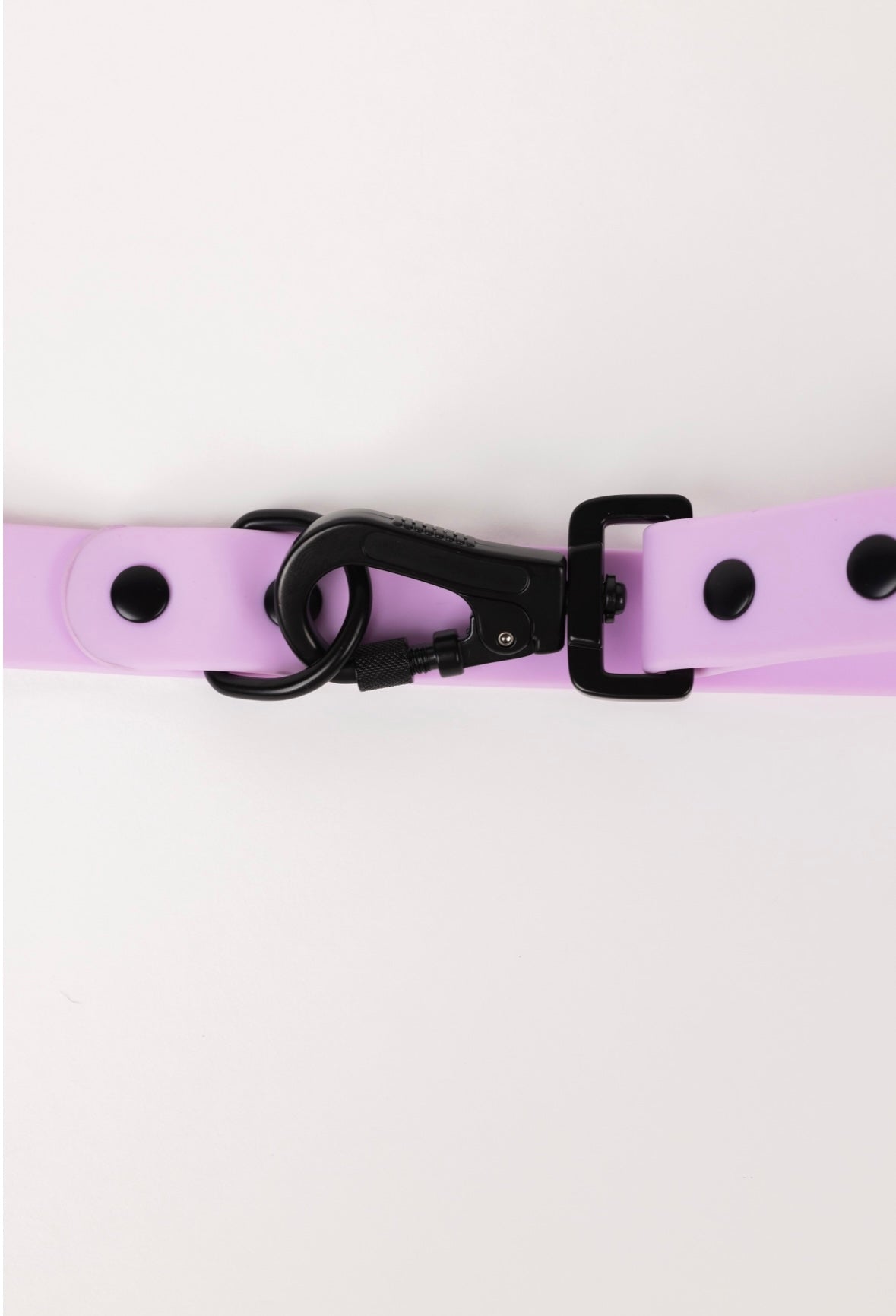 The Modern Dog Company - Blush Pink Leash - Doot's Pet LLC Collars For A Cause