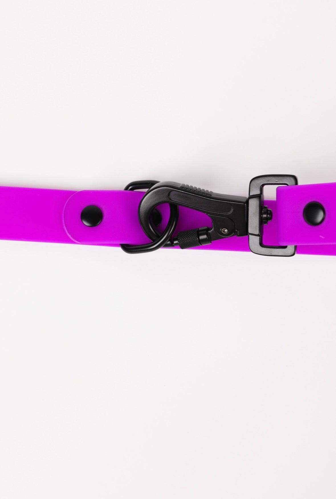 The Modern Dog Company - Electric Fuchsia Leash (Weather + Odor Resistant) - Doot's Pet LLC Collars For A Cause