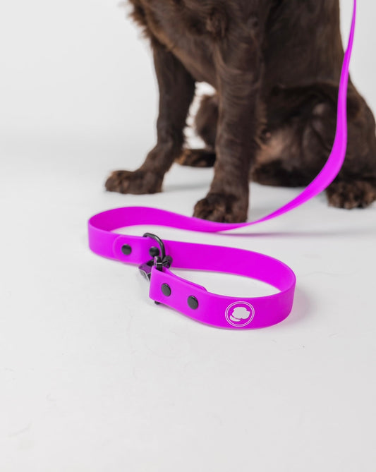 The Modern Dog Company - Electric Fuchsia Leash (Weather + Odor Resistant) - Doot's Pet LLC Collars For A Cause
