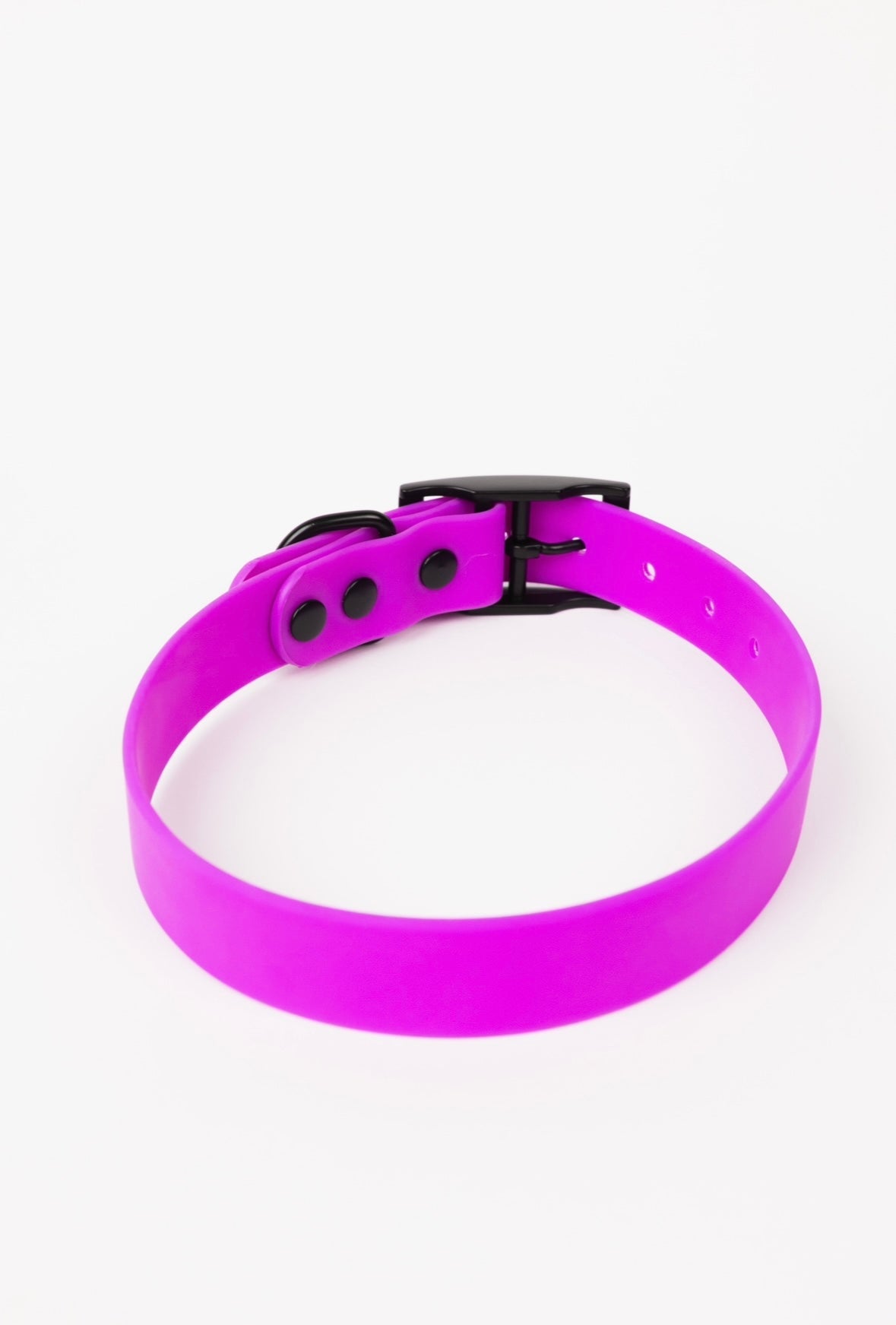The Modern Dog Company - Electric Fuchsia Collar (Weather + Odor Resistant) - Doot's Pet LLC Collars For A Cause
