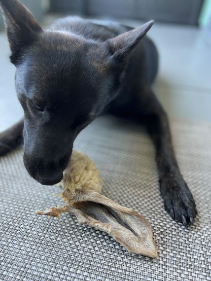 Lamb Ears (Furry & Non Fur) - Doot's Pet LLC Collars For A Cause