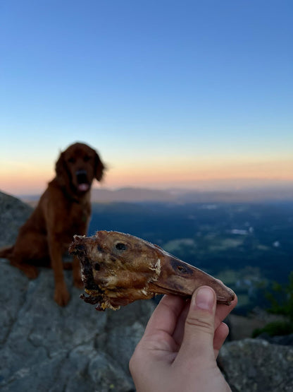 Duck Heads (ABF) - Doot's Pet LLC Collars For A Cause