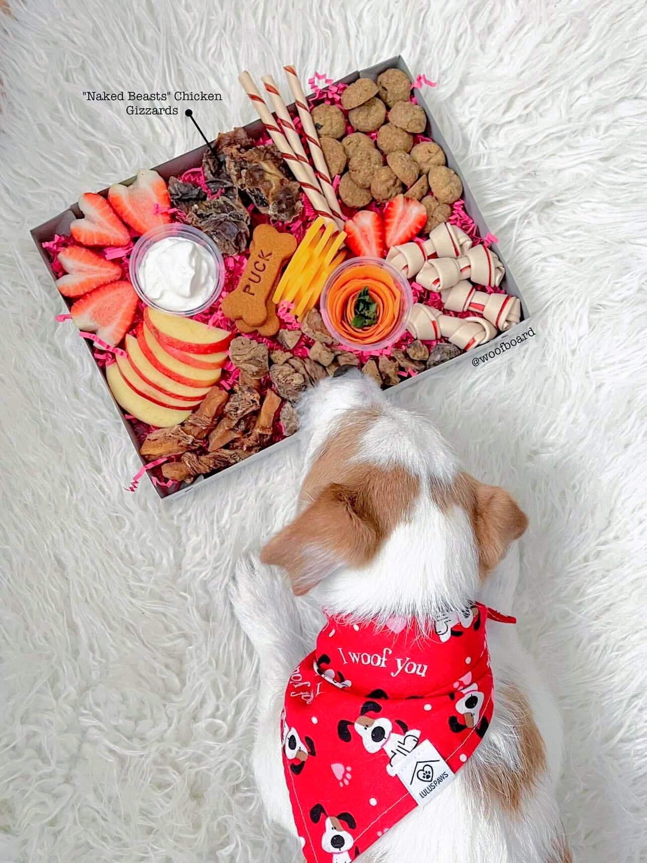 Chicken Gizzards - Doot's Pet LLC Collars For A Cause