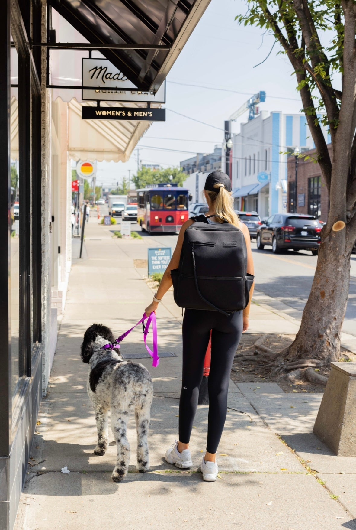 The Modern Dog Company - Electric Fuchsia Collar (Weather + Odor Resistant) - Doot's Pet LLC Collars For A Cause